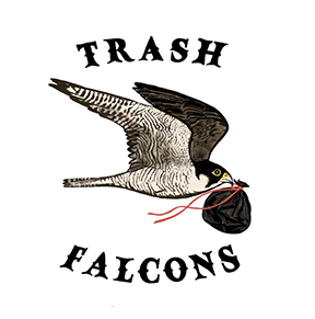 Trash Falcons