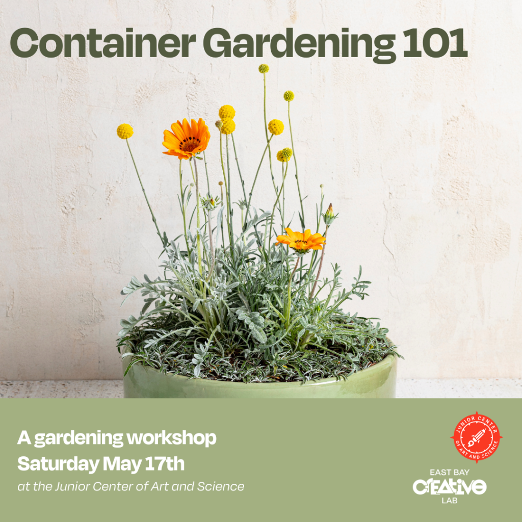 Container Gardening 101