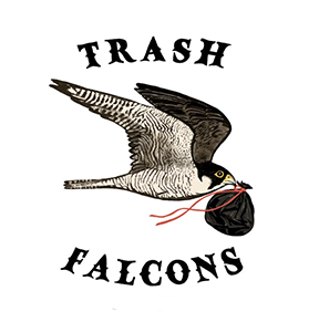 Trash Falcons